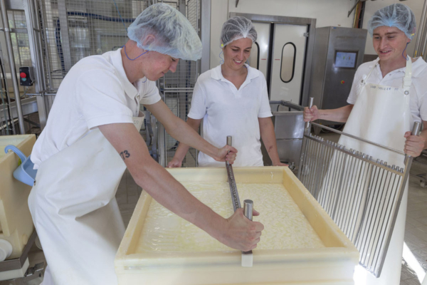 Formation de fromager