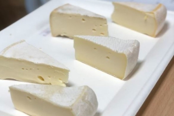 Le goût au cœur des formations en alimentation à ENILEA