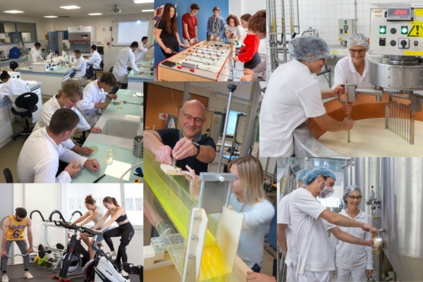 Intéressé par ENILEA ? Comment nous rencontrer